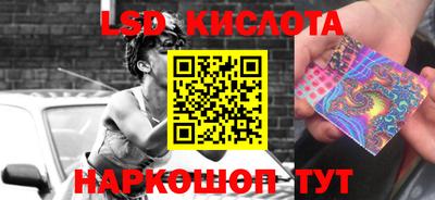 стаф Камышлов