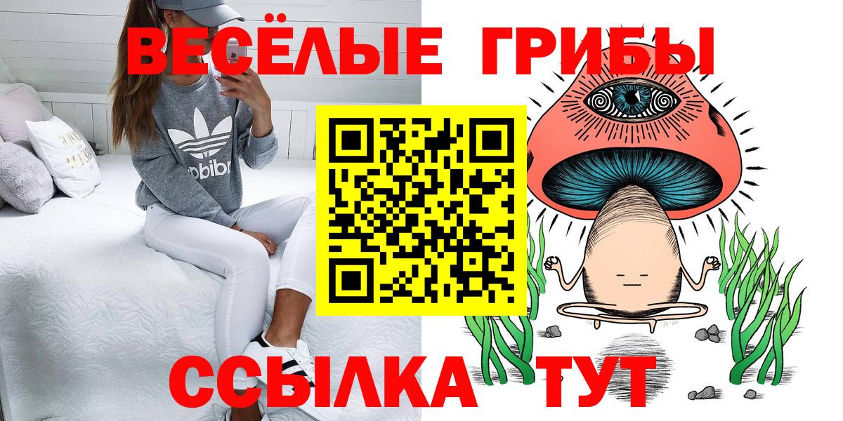 Псилоцибиновые грибы мицелий  Вход с VPN  Ефремов 